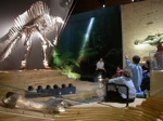 Venezia - Museo di Scienze Naturali