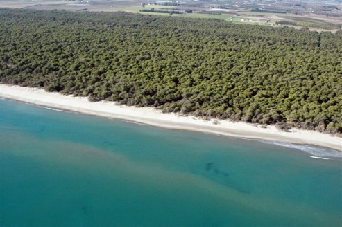 uploadImgs/Mare/Basilicata Jonica/panoramica493.jpg