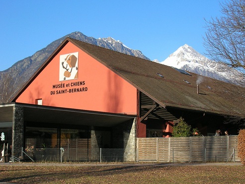 museo cane san bernardo