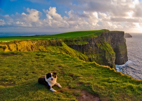 cliffs of moher