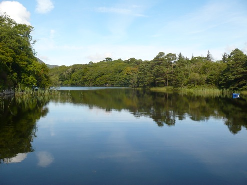 Irlanda/killarney national park 