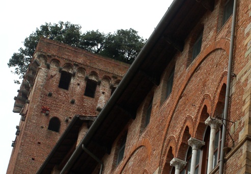 Lucca con bambini - Torre Guinigi