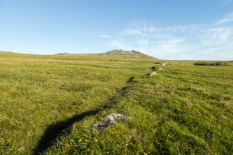 Brughiera di Bodmin Cornovaglia