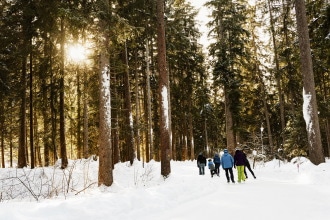 Pattinare sul ghiaccio nel bosco