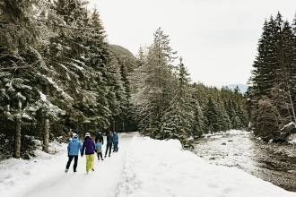 Pista di pattinaggio sul ghiaccio nel bosco