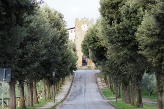 Borgo di Artimino Viale Alberato