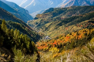 Boschi Valle Argentina