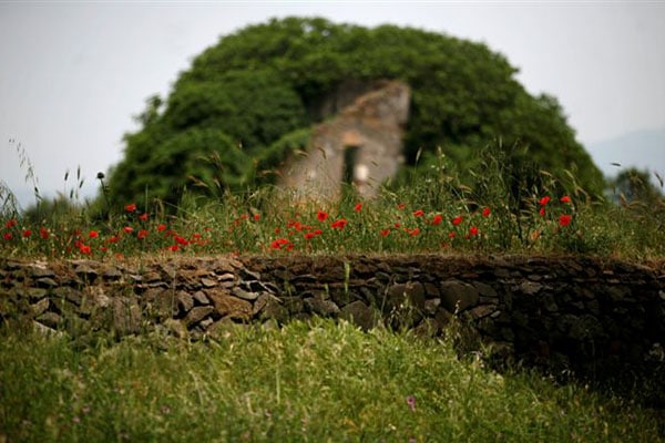 roma appia antica