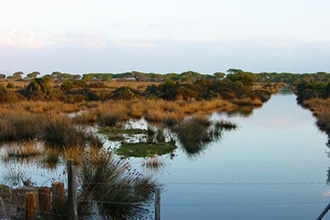 Parco della Maremma con i bambini, foce fiume Ombrone