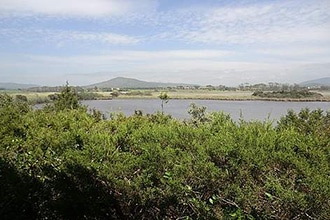 Parco della Maremma con i bambini, Oasi Wwf Lago di Burano