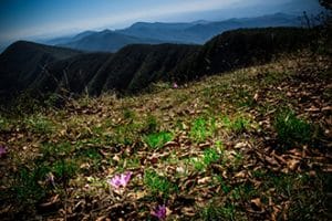 Arezzo e dintorni con bambini, il panorama da Badia Tebalda