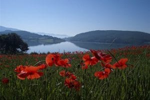 Arezzo e dintorni con bambini, lago di Montedoglio