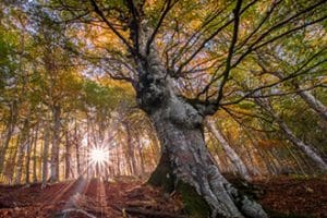 Arezzo e dintorni con bambini, il Parco del Sasso Simone e Simoncello