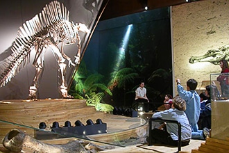 Museo di Storia Naturale di Venezia, dinosauro