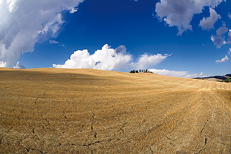 Toscana, Terre di Siena