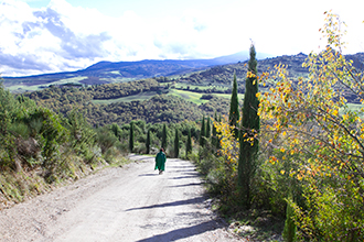 Via Francigena verso Bagno Vignoni