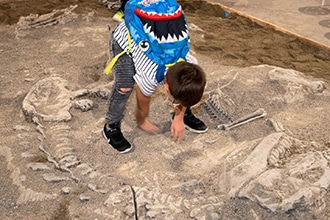 Mostra dinosauri a Torino, Dinosaurs Park, area scavi