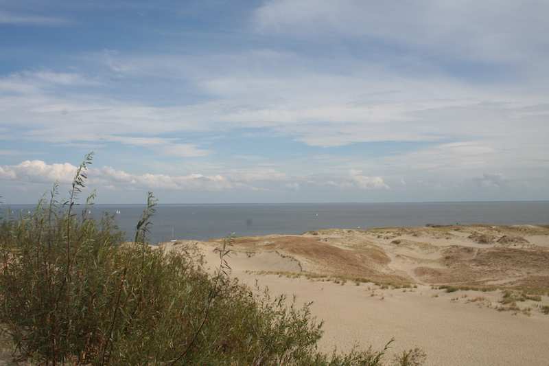 penisola dune
