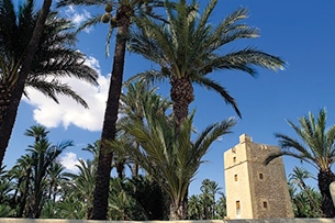 spagna-costa-blanca-El-Palmeral-Elche