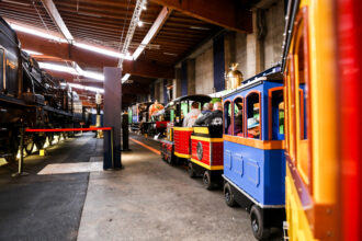 Trenino panoramico per famiglie alla Cité du Train di Mulhouse © Devid Rotasperti Photographer
