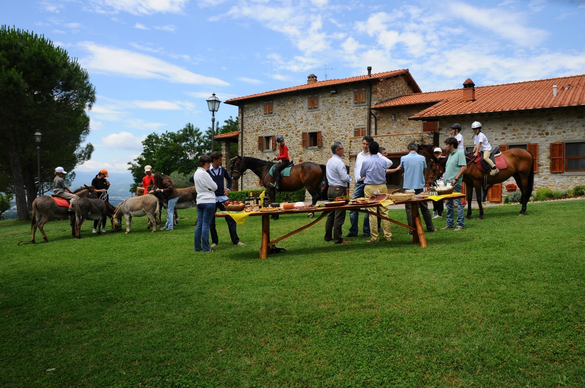 Hotel Stelle Arezzo Hotel Stelle Arezzo