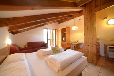 Residence Aparthotel Des Alpes in Val di Fiemme, appartamento