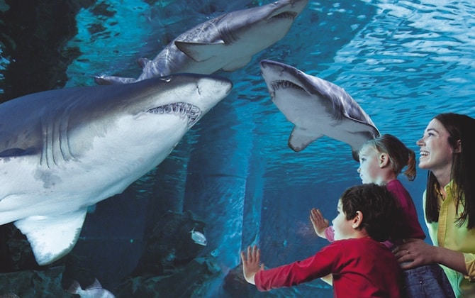 Cattolica Con Bambini Vacanza A Cattolica Per Famiglie