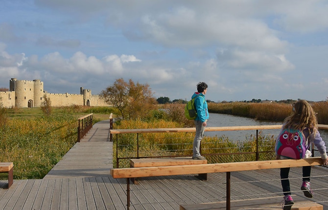Camargue con i bambini