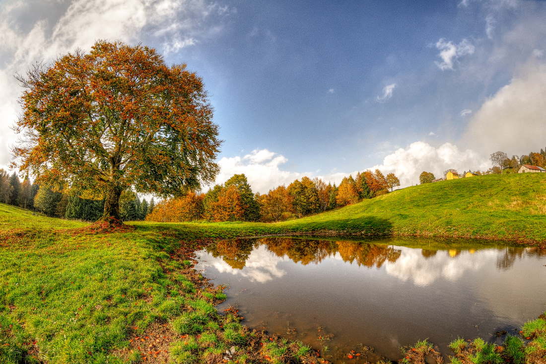 Asiago in autunno