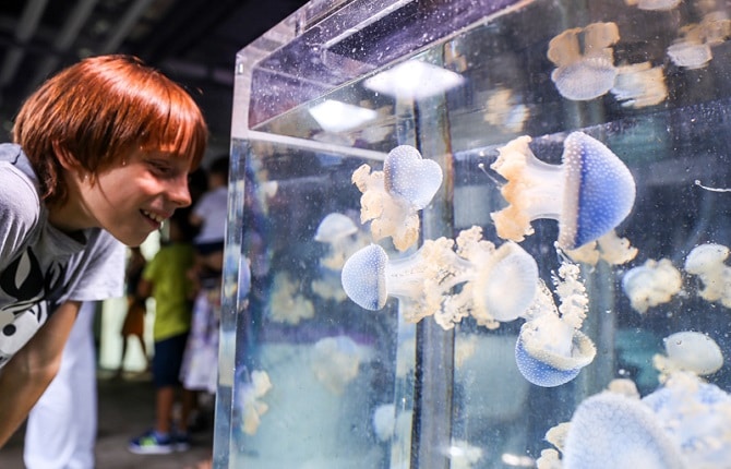 Acquario di Genova