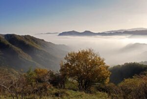 Autunno Slow alla scoperta del Parco delle Foreste Casentinesi