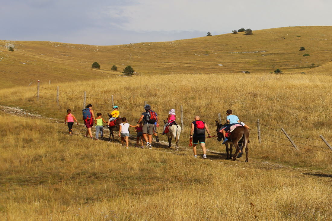 trekking con gli asinelli in Abruzzo sul Gran Sasso