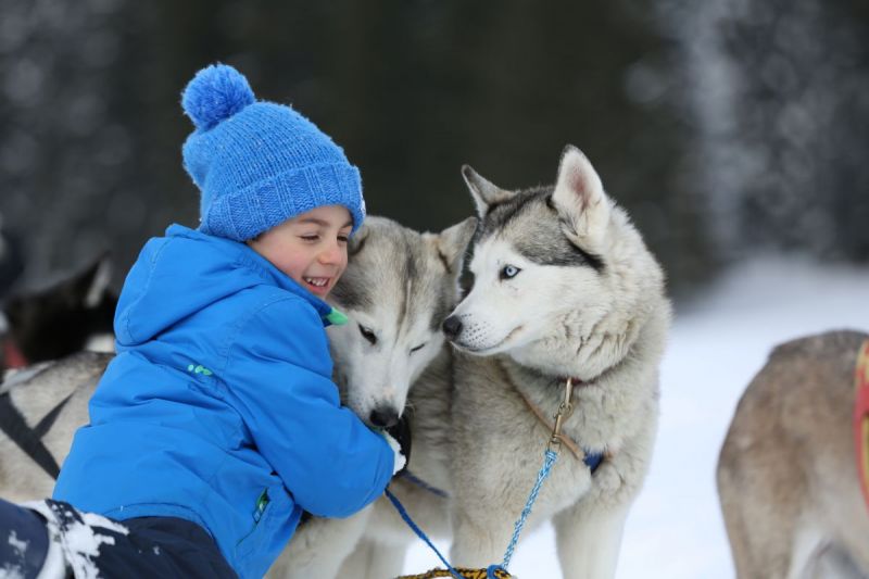 Sleddog in Trentino per bambini