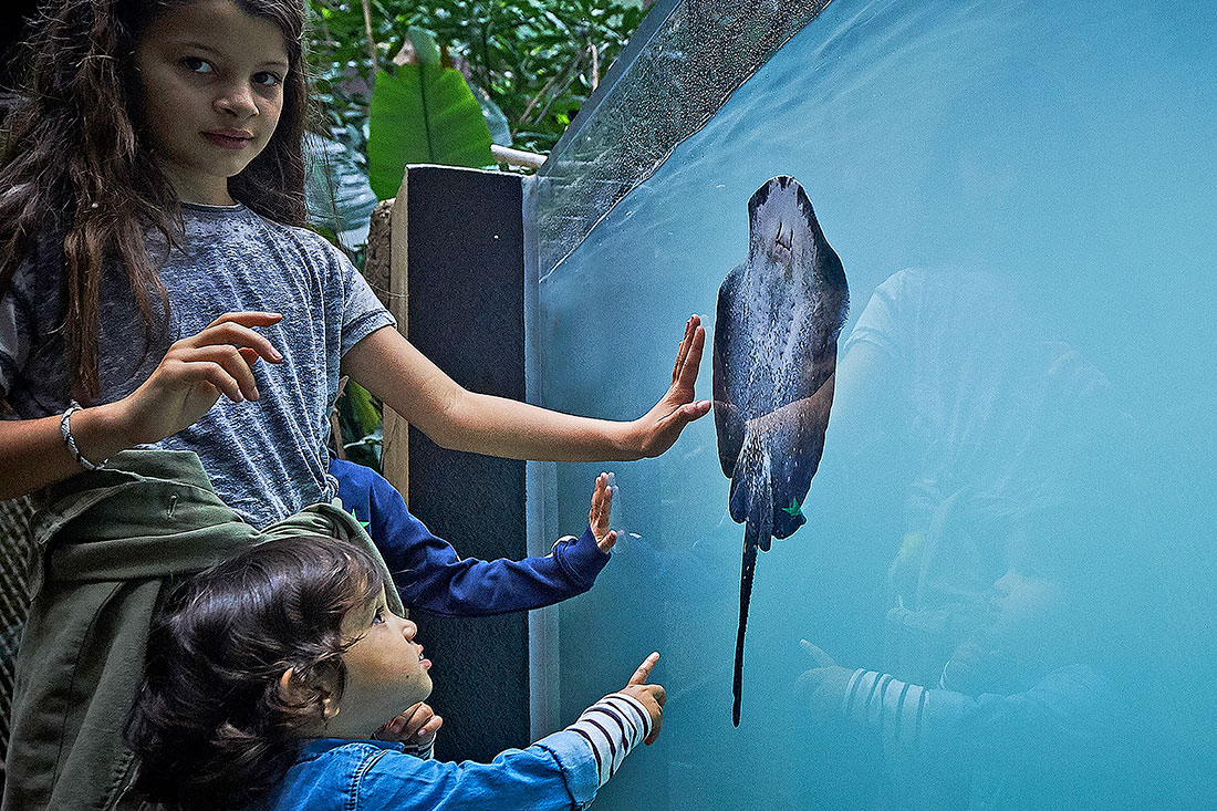 Acquario di Losanna