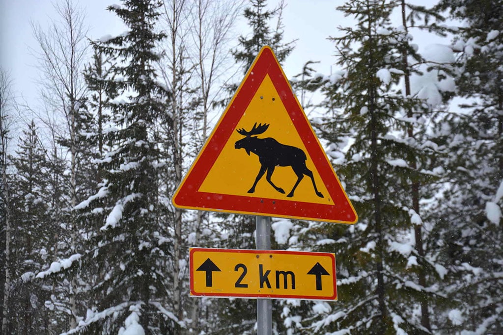 Viaggio in Lapponia con i Bambini, Salla, Finlandia strada lappone