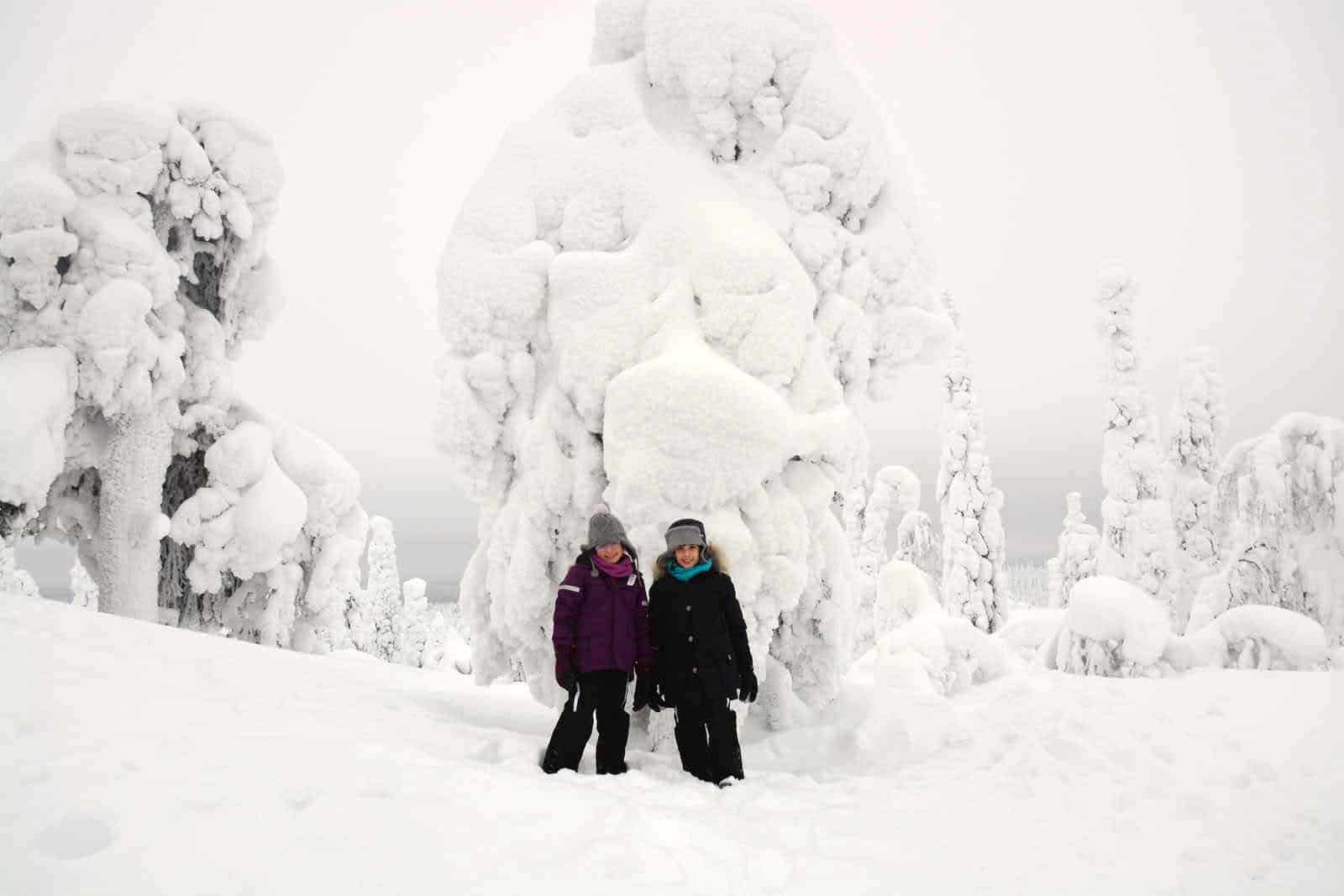 Viaggio in Lapponia con i Bambini, Salla, Finlandia