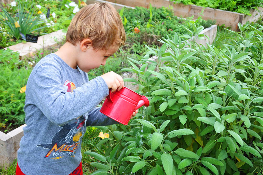 Hortus Urbis a Roma sull'Appia antica, laboratori per bambini