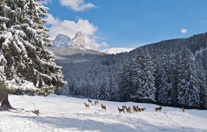 Avventure per bambini a San Martino di Castrozza