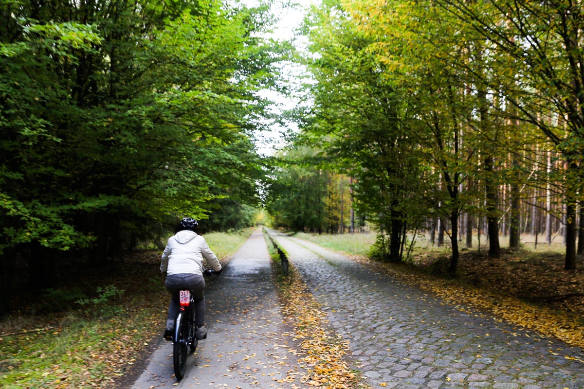 In-bicicletta-nel-Barnimer-Feldmark-Foto-Devid-Rotasperti-Photographer (6)