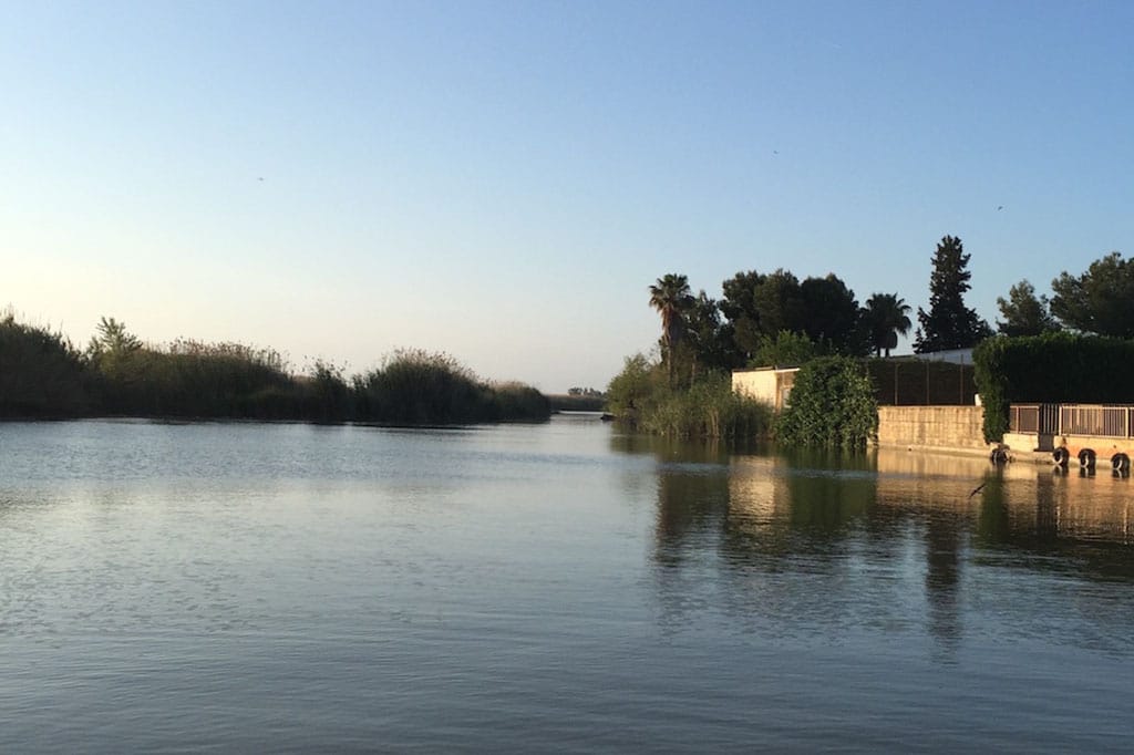 Valencia-bike-familygo - albufera 777