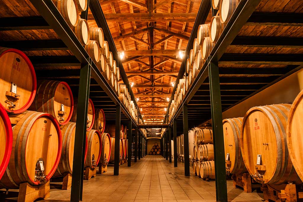 piemonte-langheDSC_9322