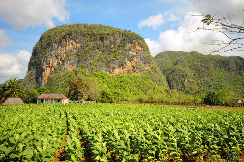 Cuba con bambini, natura valle Vinales, Mogotes