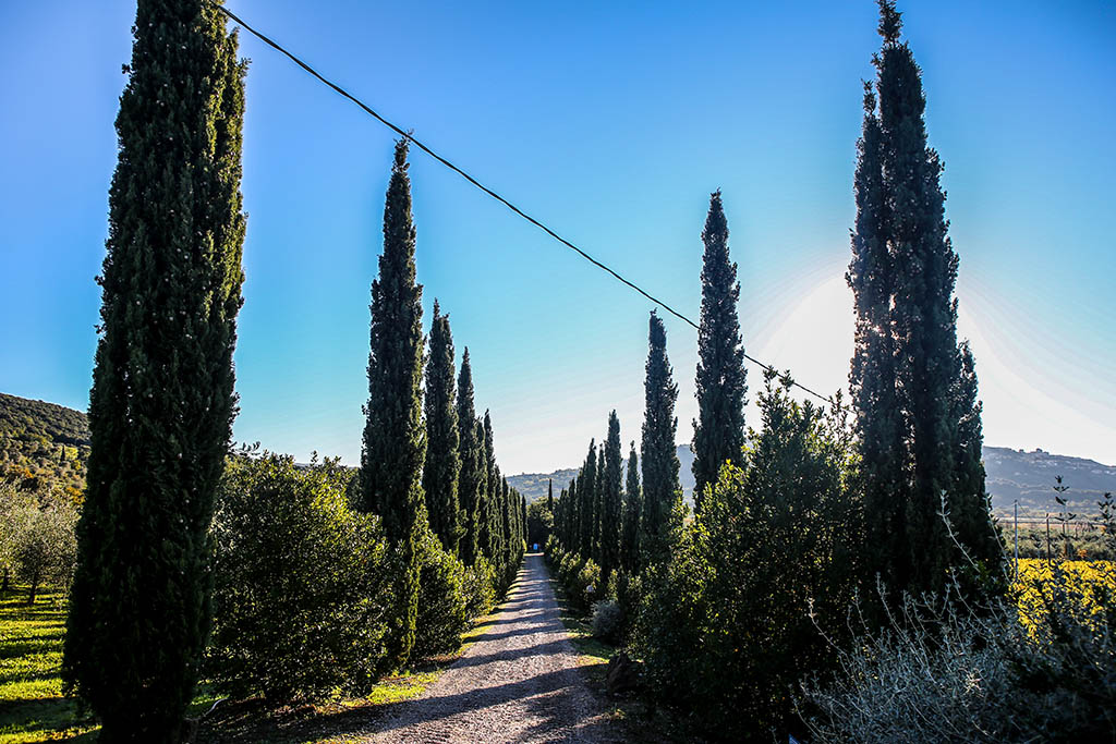 toscana-maremma-il-cicalino-photo-devid-rotasperti (14)