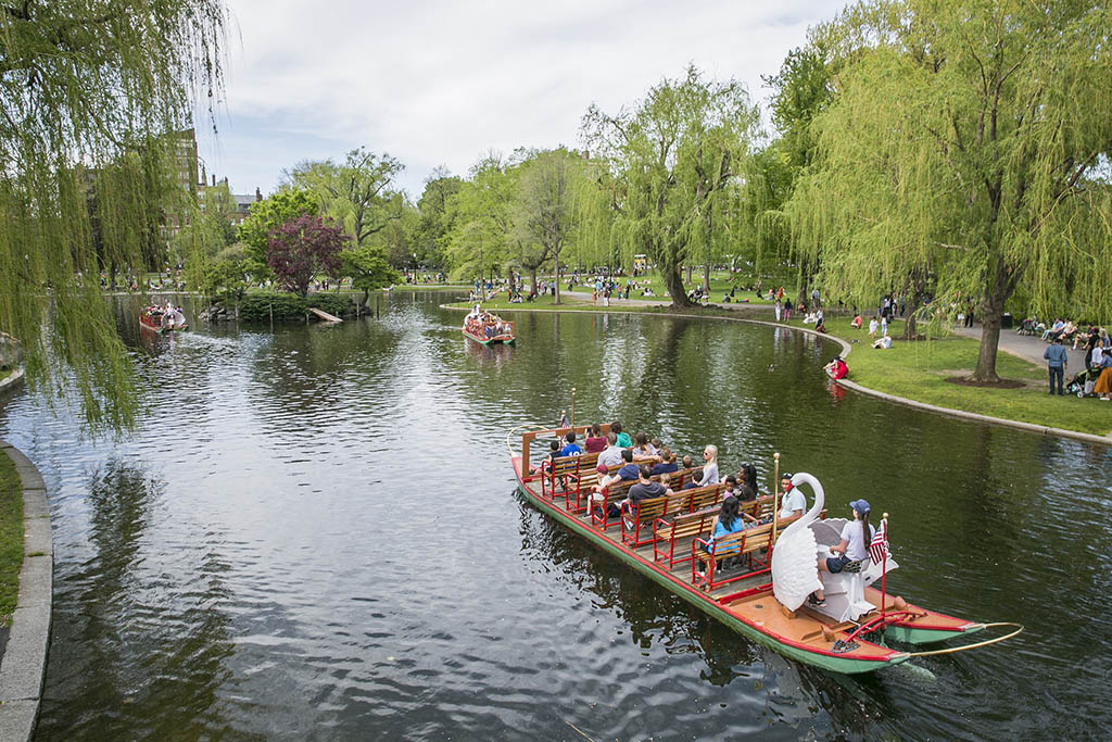 Boston per bambini, Swan Boat