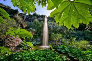 Giardini La Mortella Ischia
