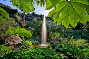 Giardini La Mortella Ischia