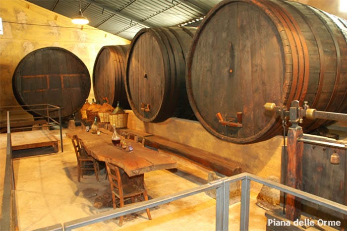 Parco Museo Piana delle Orme a Latina, cantine