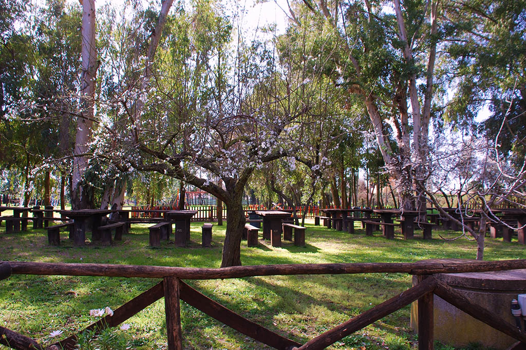 Parco Museo Piana delle Orme a Latina, area pic nic