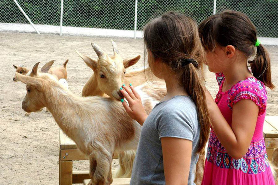 Milano Marittima con bambini, fattoria