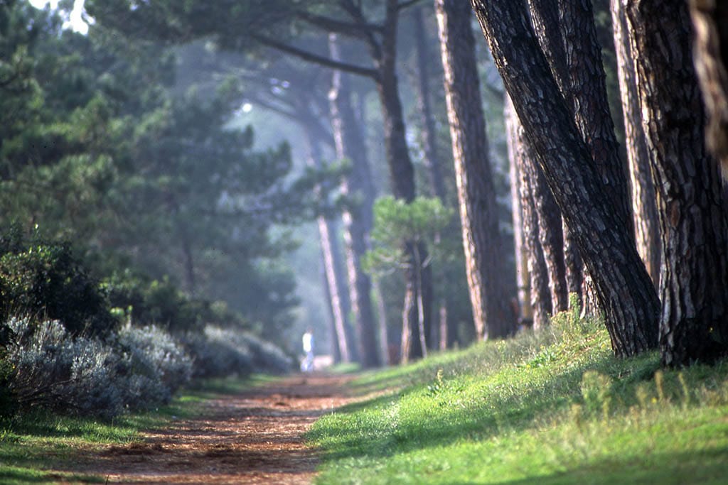 Milano Marittima con bambini, parco di Cervia